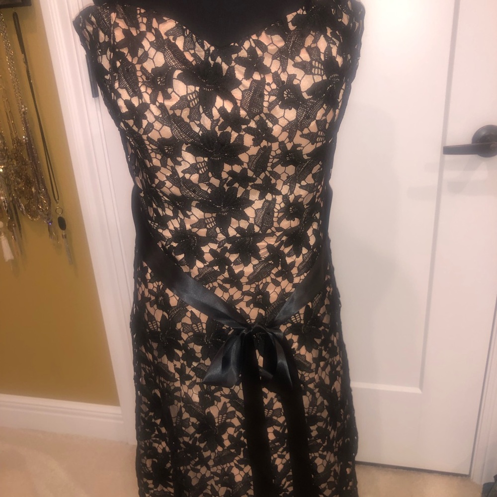 City Chic lace dress NWT